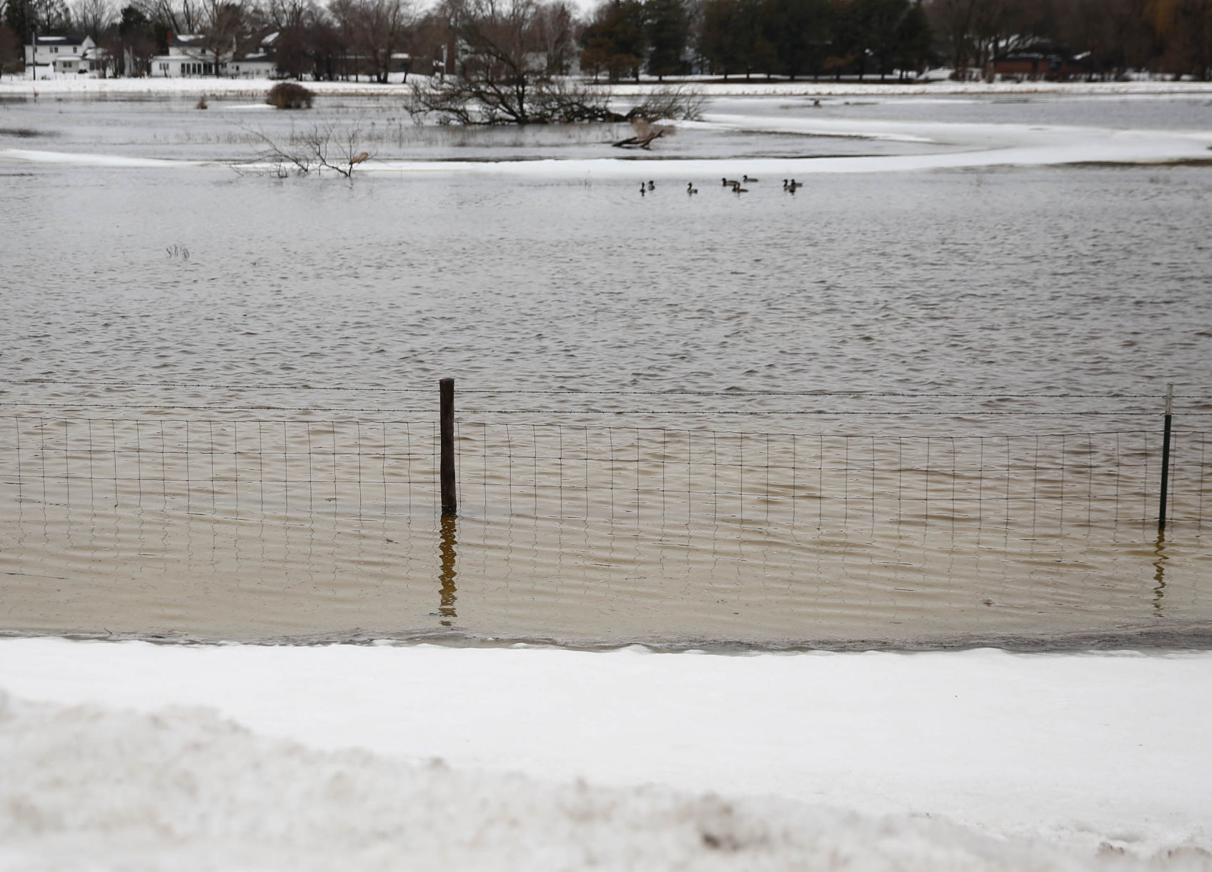 Flooding